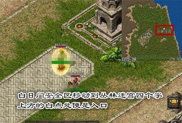 丛林迷宫